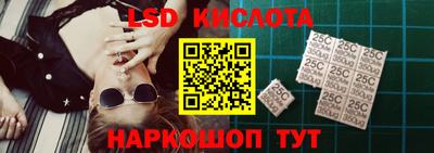 дживик Сланцы