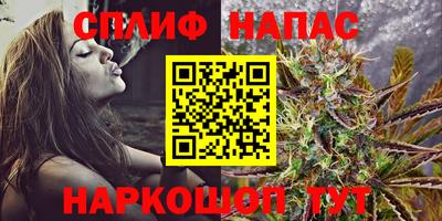 винт Славгород