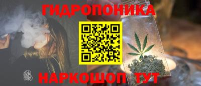 дживик Сланцы