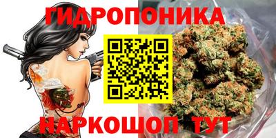 дживик Сланцы