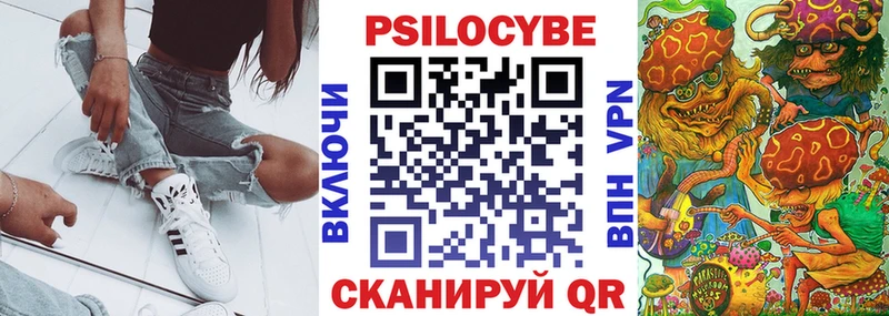 Псилоцибиновые грибы Psilocybine cubensis  Саратов 