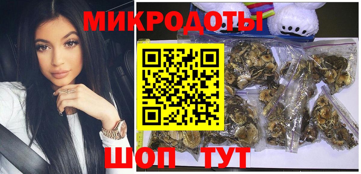 Псилоцибиновые грибы Cubensis Саратов